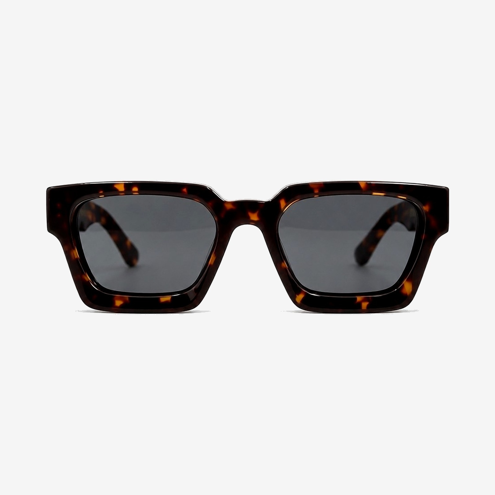Icon Tortoise in Tortoiseshell — studio view
