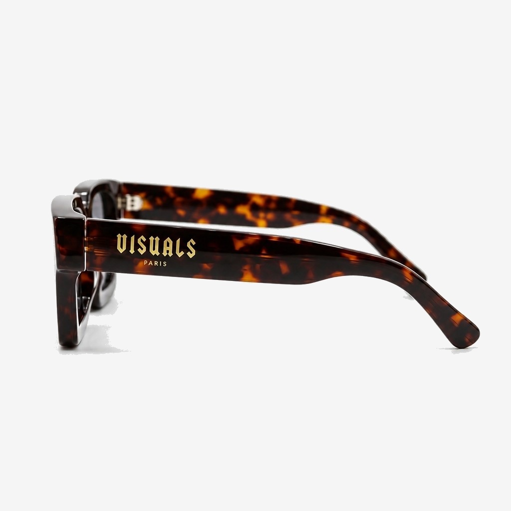 Icon Tortoise in Tortoiseshell — studio view