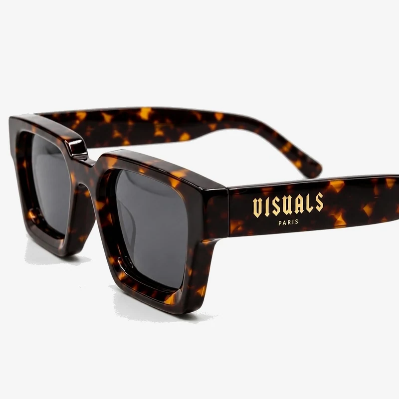 Icon Tortoise alternate view